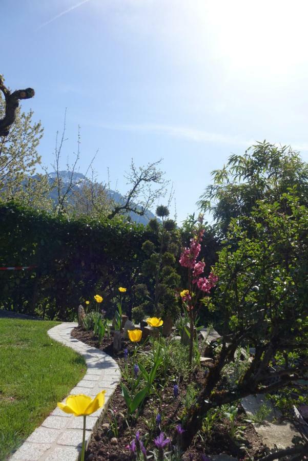 Alpen Air Exklusive Apartments Bad Reichenhall Luaran gambar